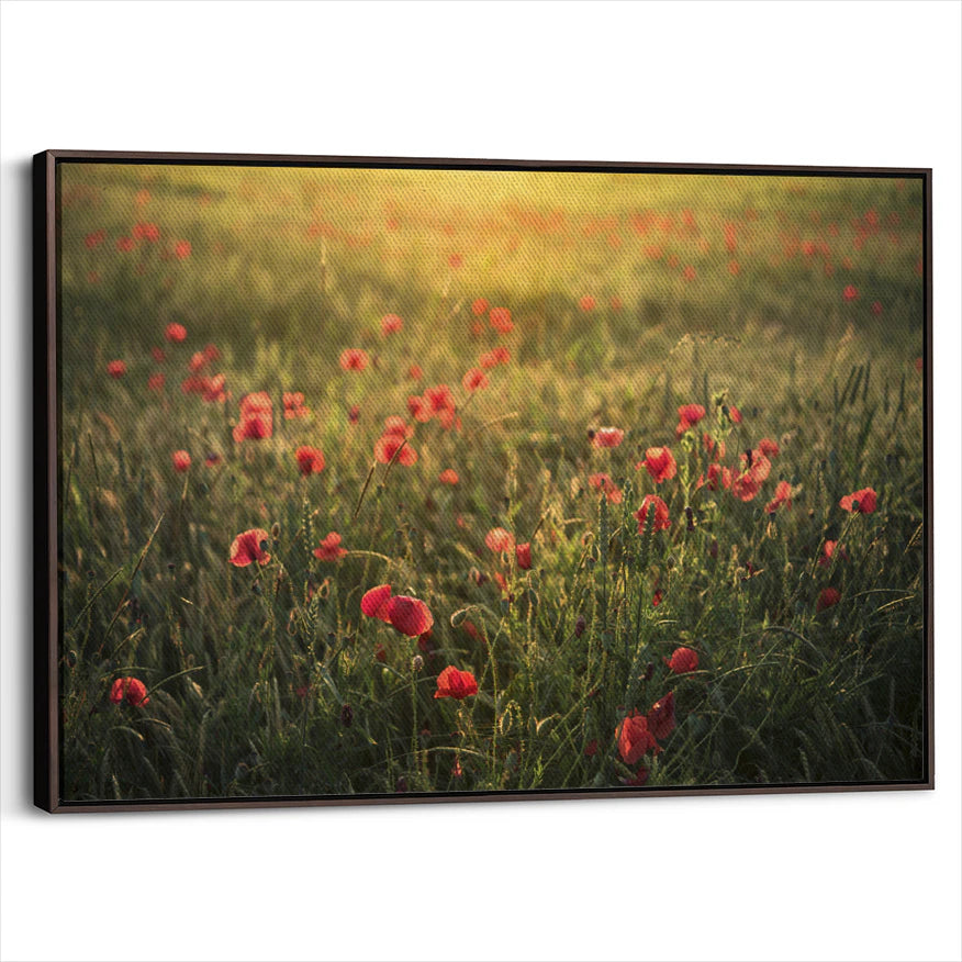 framed-canvas-dark-walnut