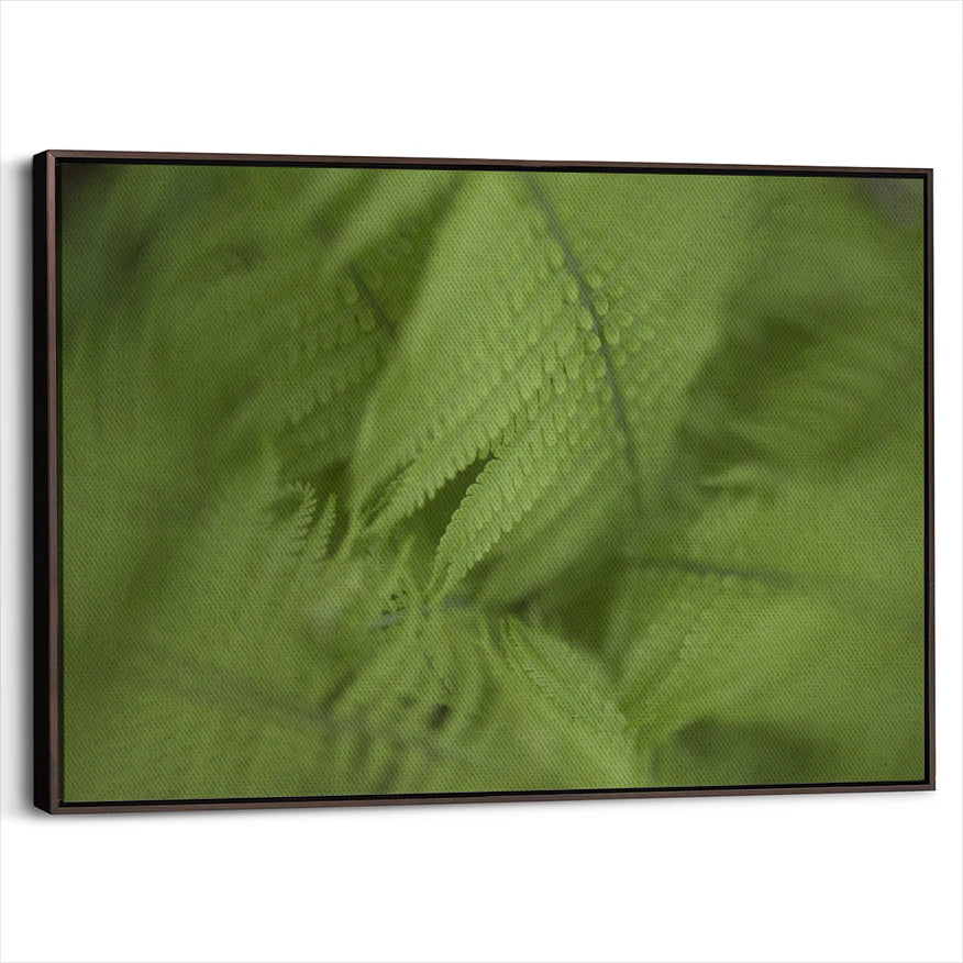framed-canvas-dark-walnut