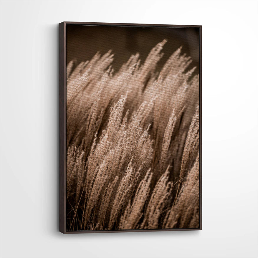framed-canvas-dark-walnut