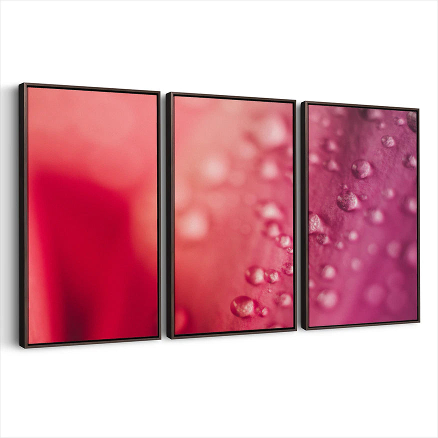 3-framed-print-dark-walnut