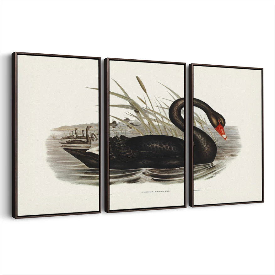3-framed-print-dark-walnut