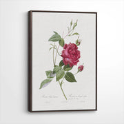 framed-canvas-dark-walnut