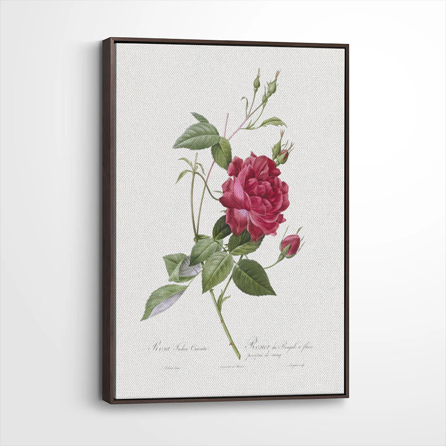 framed-canvas-dark-walnut