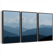 3-framed-canvas-dark-walnut