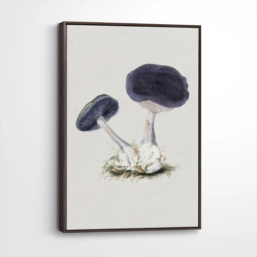 framed-canvas-dark-walnut
