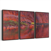 3-framed-print-dark-walnut