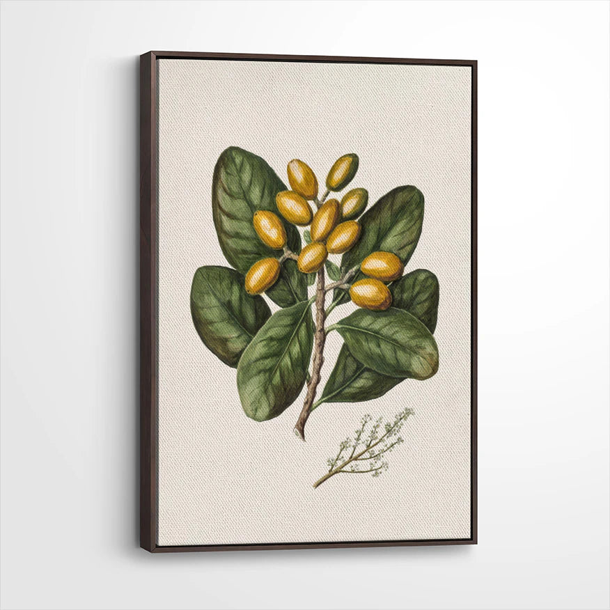 framed-canvas-dark-walnut
