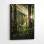 framed-canvas-dark-walnut