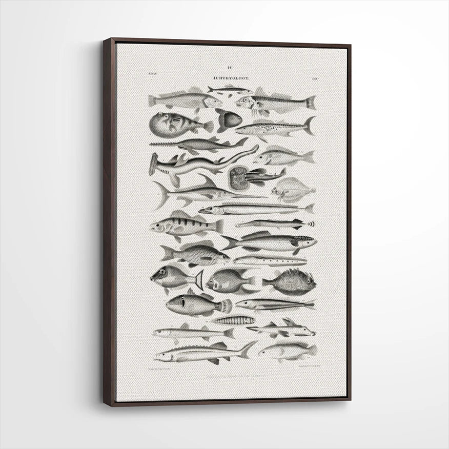 framed-canvas-dark-walnut
