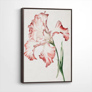 framed-canvas-dark-walnut