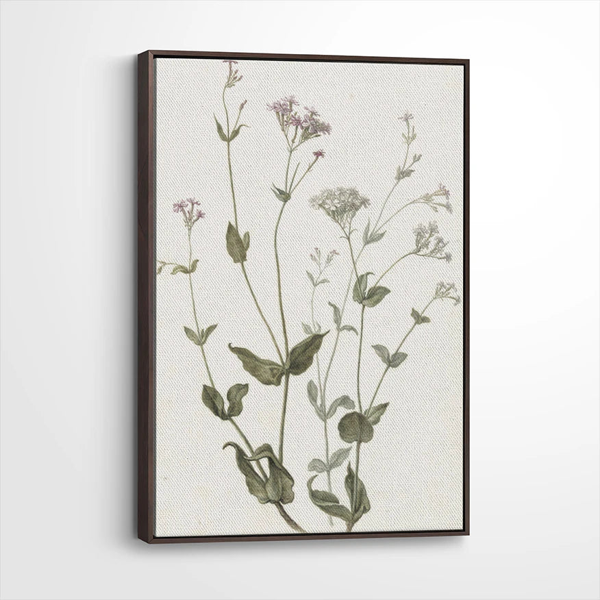 framed-canvas-dark-walnut