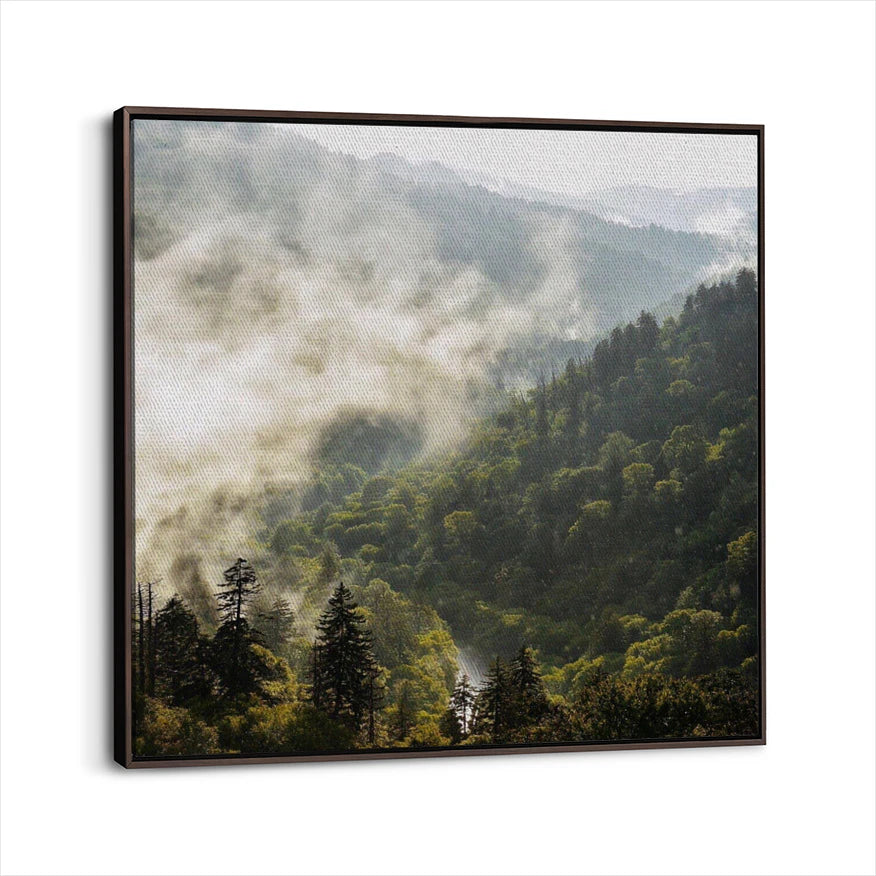 framed-canvas-dark-walnut