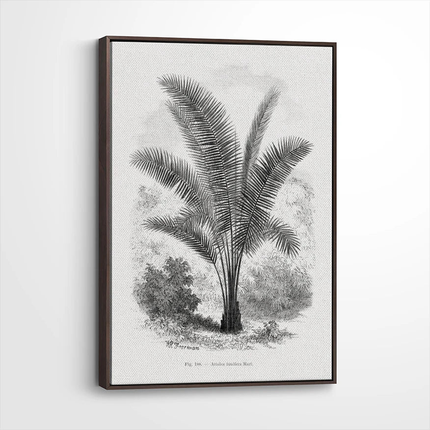 framed-canvas-dark-walnut