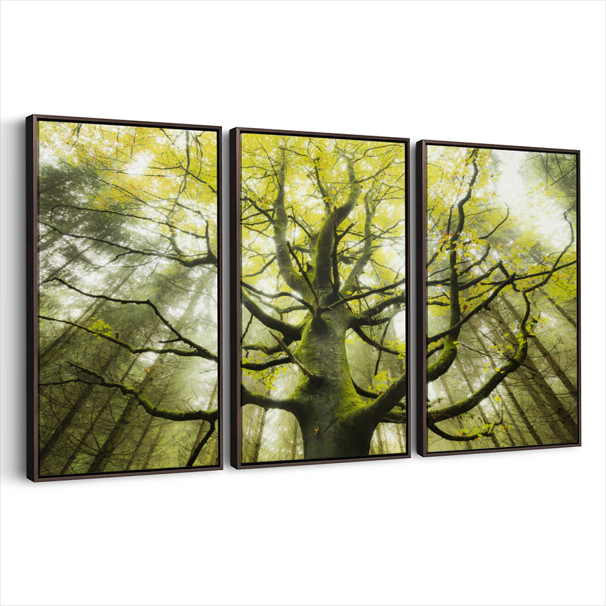 3-framed-print-dark-walnut