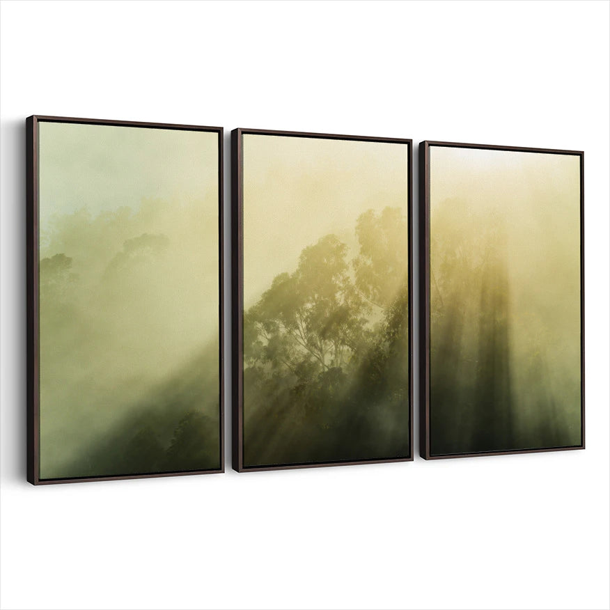 3-framed-print-dark-walnut
