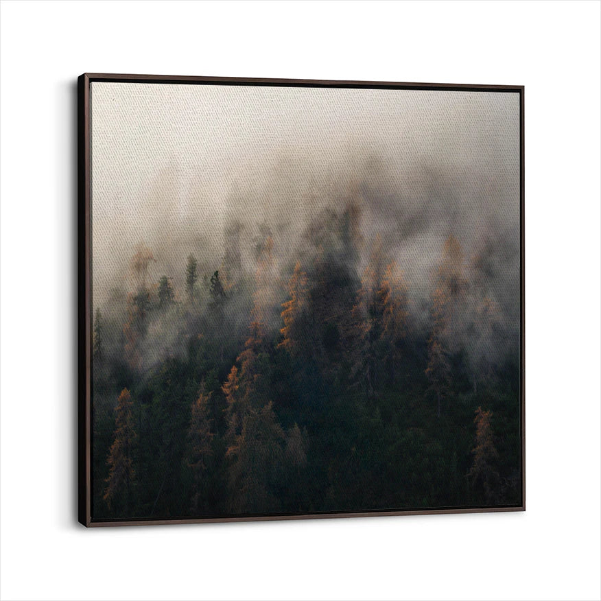 framed-canvas-dark-walnut