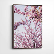 framed-canvas-dark-walnut