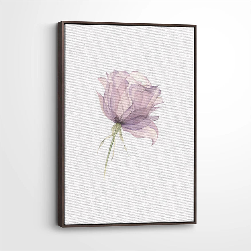 framed-canvas-dark-walnut