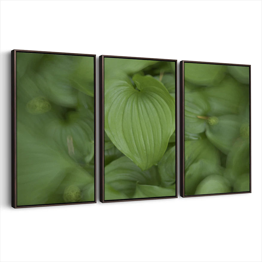 3-framed-canvas-dark-walnut