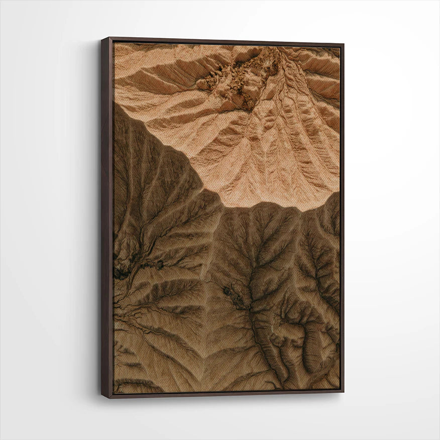 framed-canvas-dark-walnut