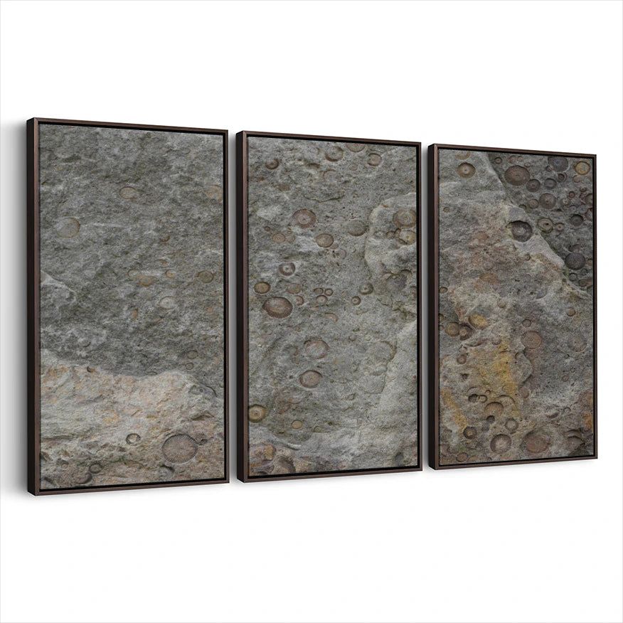3-framed-print-dark-walnut