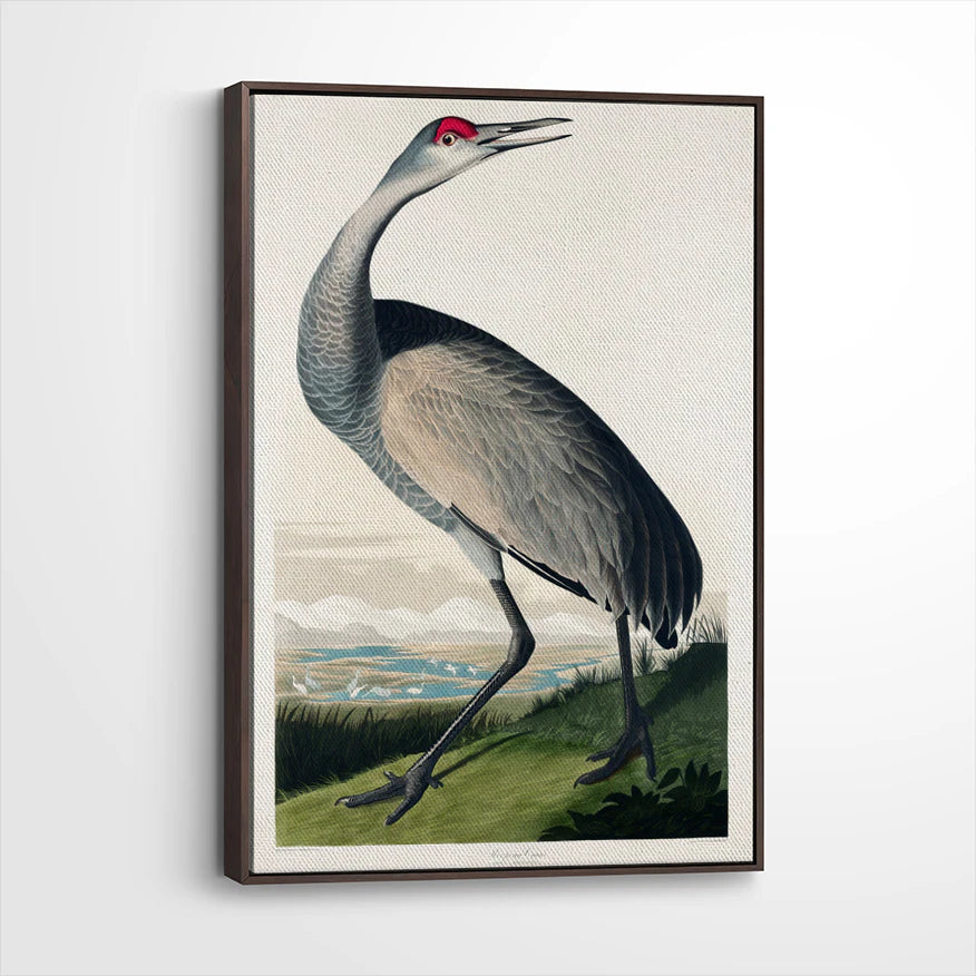 framed-canvas-dark-walnut