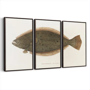 3-framed-print-dark-walnut