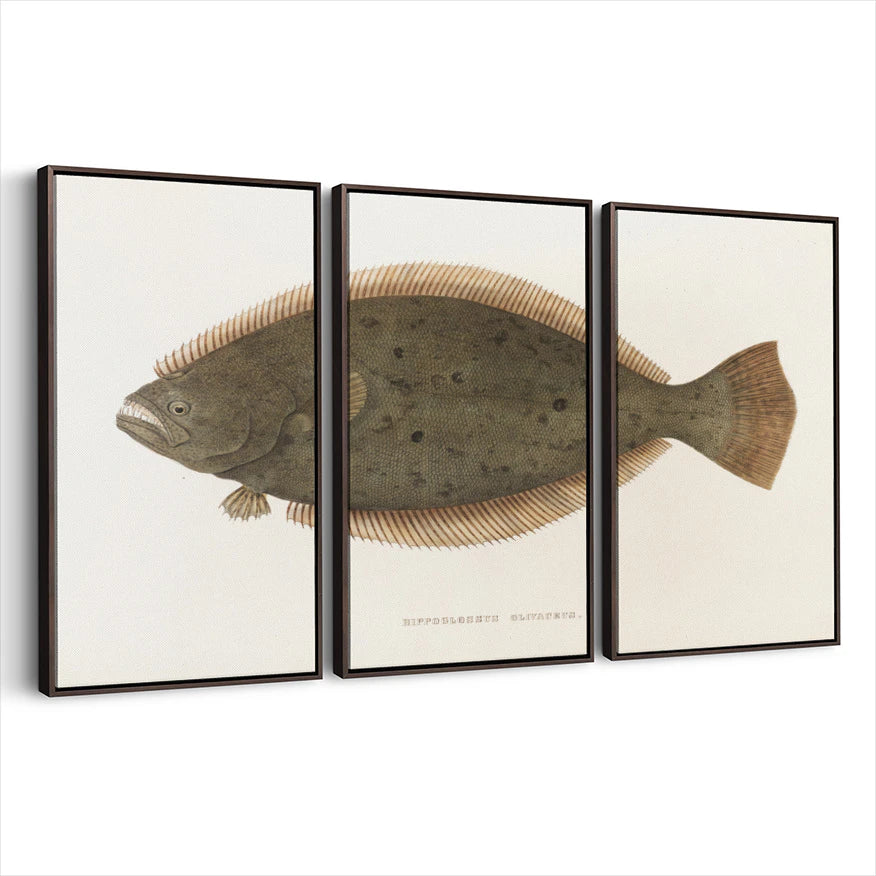 3-framed-print-dark-walnut