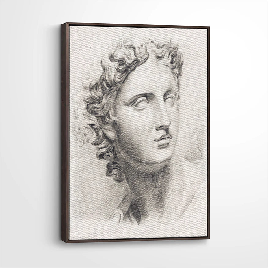framed-canvas-dark-walnut