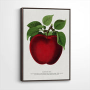 framed-canvas-dark-walnut