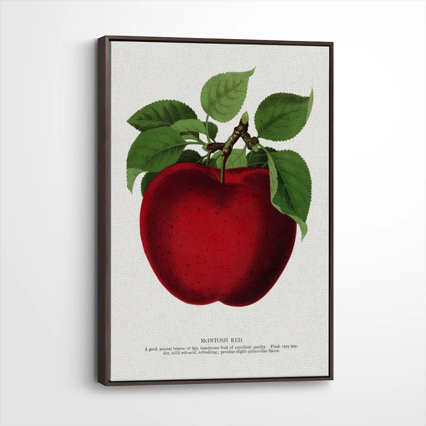 framed-canvas-dark-walnut