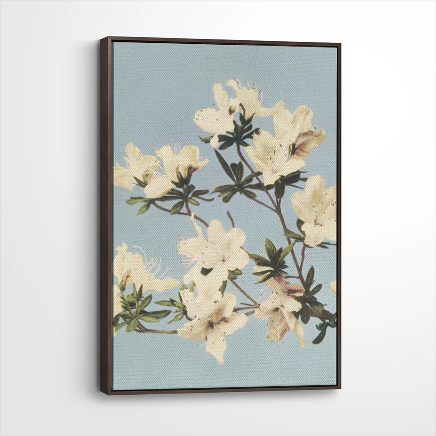 framed-canvas-dark-walnut