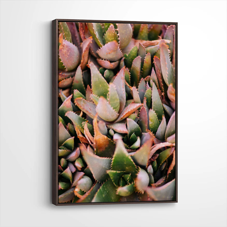 framed-canvas-dark-walnut