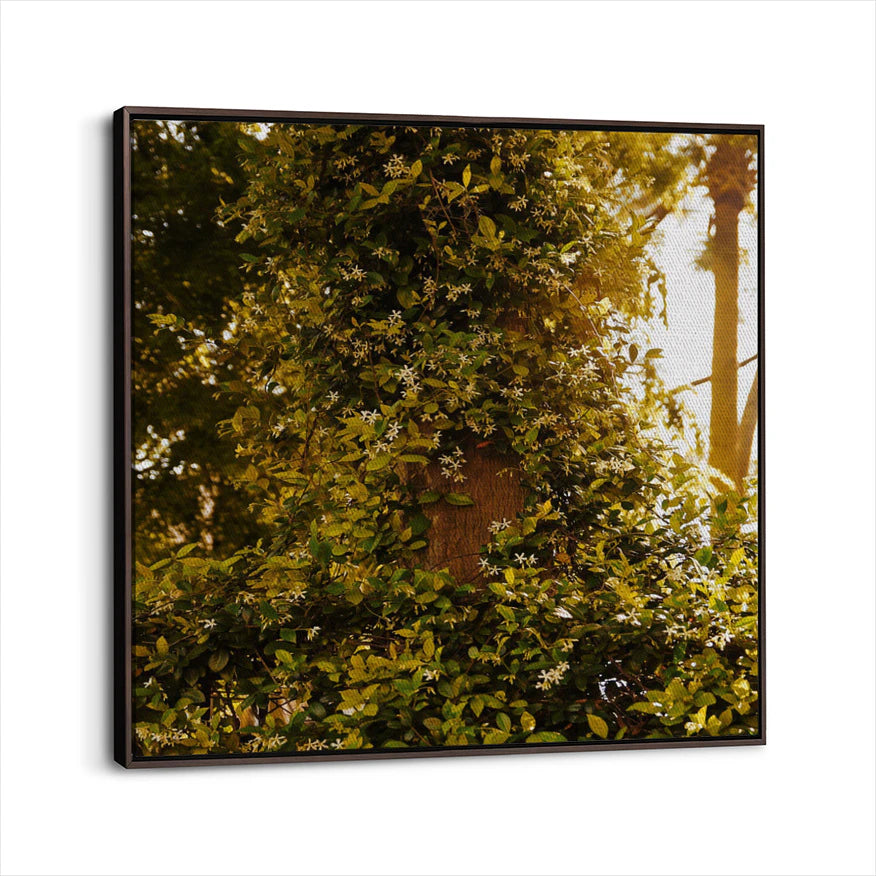 framed-canvas-dark-walnut