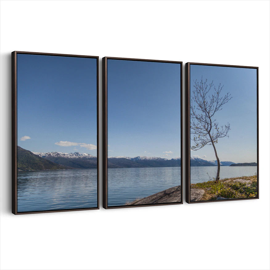 3-framed-canvas-dark-walnut