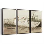 3-framed-canvas-dark-walnut