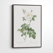 framed-canvas-dark-walnut