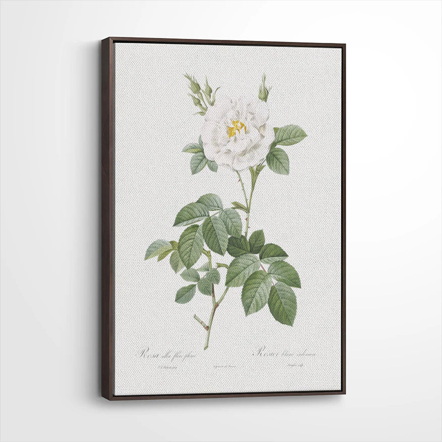 framed-canvas-dark-walnut