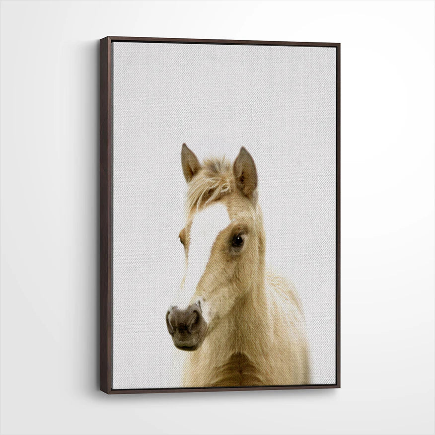 framed-canvas-dark-walnut