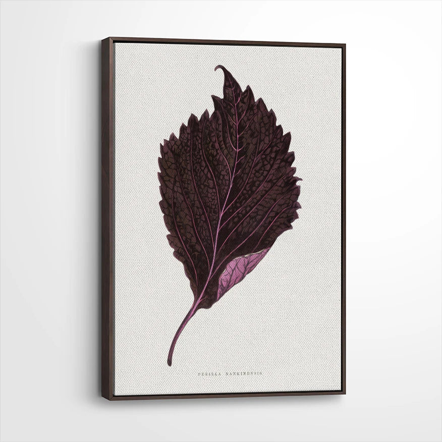 framed-canvas-dark-walnut