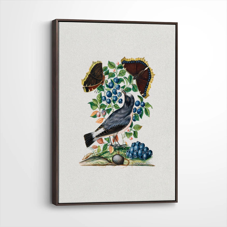 framed-canvas-dark-walnut