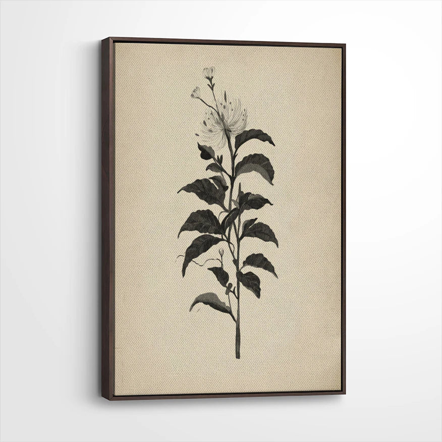 framed-canvas-dark-walnut