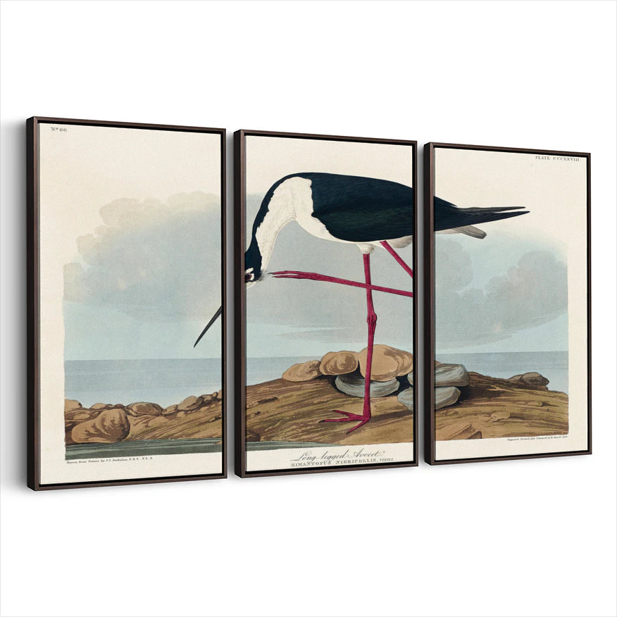 3-framed-print-dark-walnut