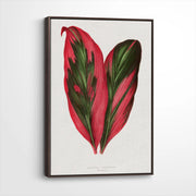 framed-canvas-dark-walnut