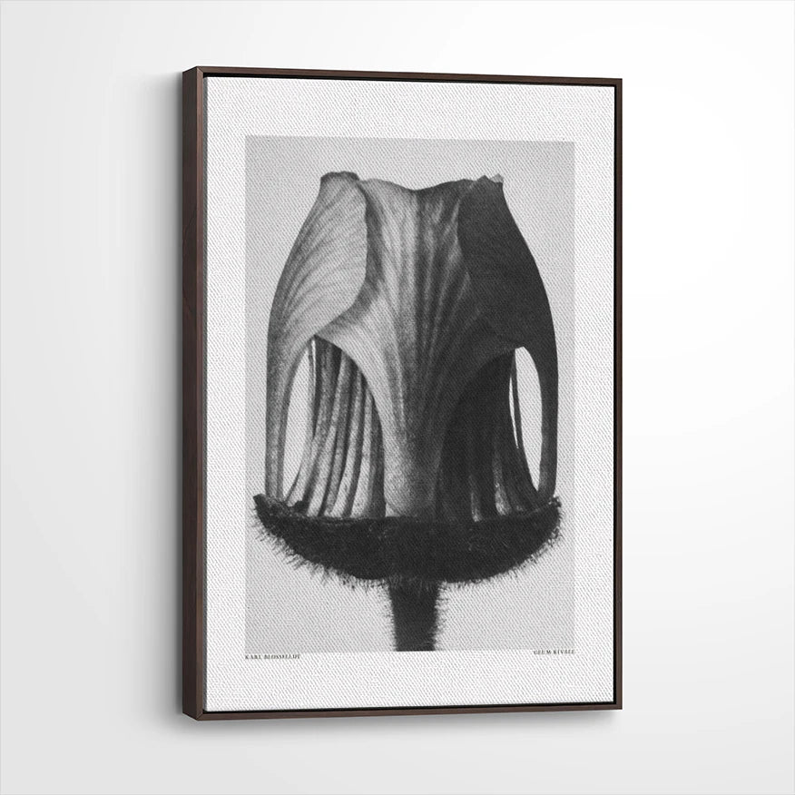 framed-canvas-dark-walnut