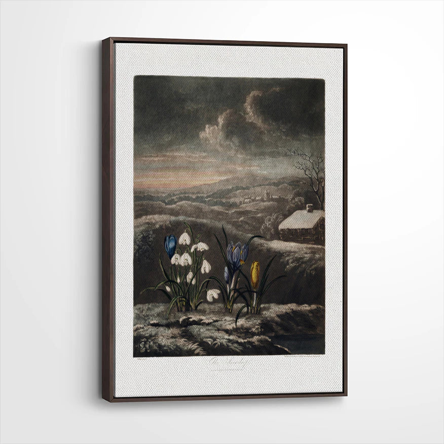 framed-canvas-dark-walnut