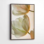 framed-canvas-dark-walnut