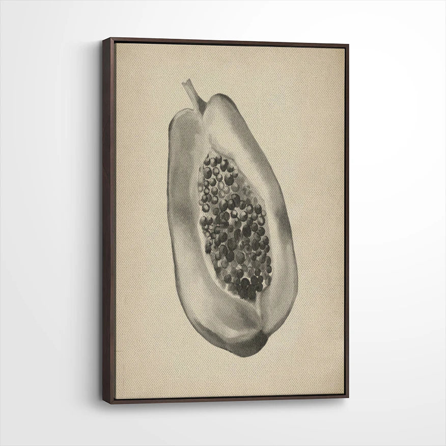 framed-canvas-dark-walnut