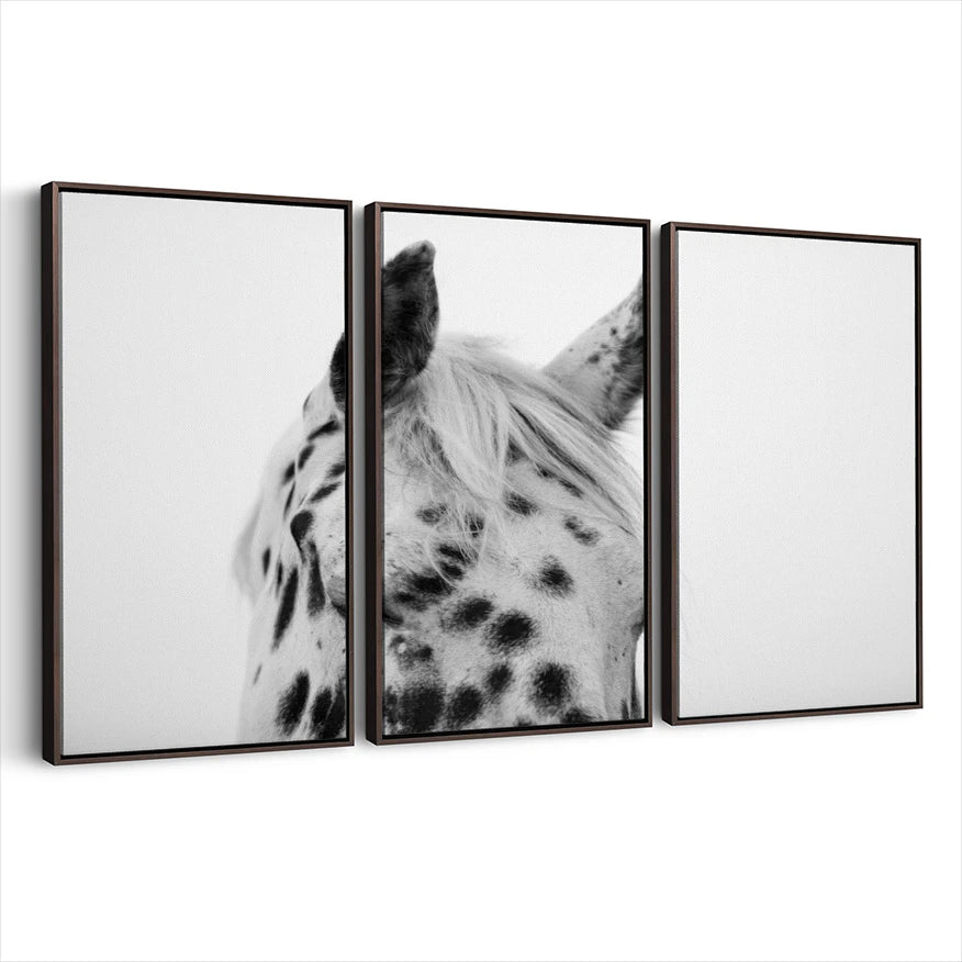 3-framed-canvas-dark-walnut