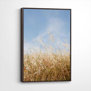 framed-canvas-dark-walnut